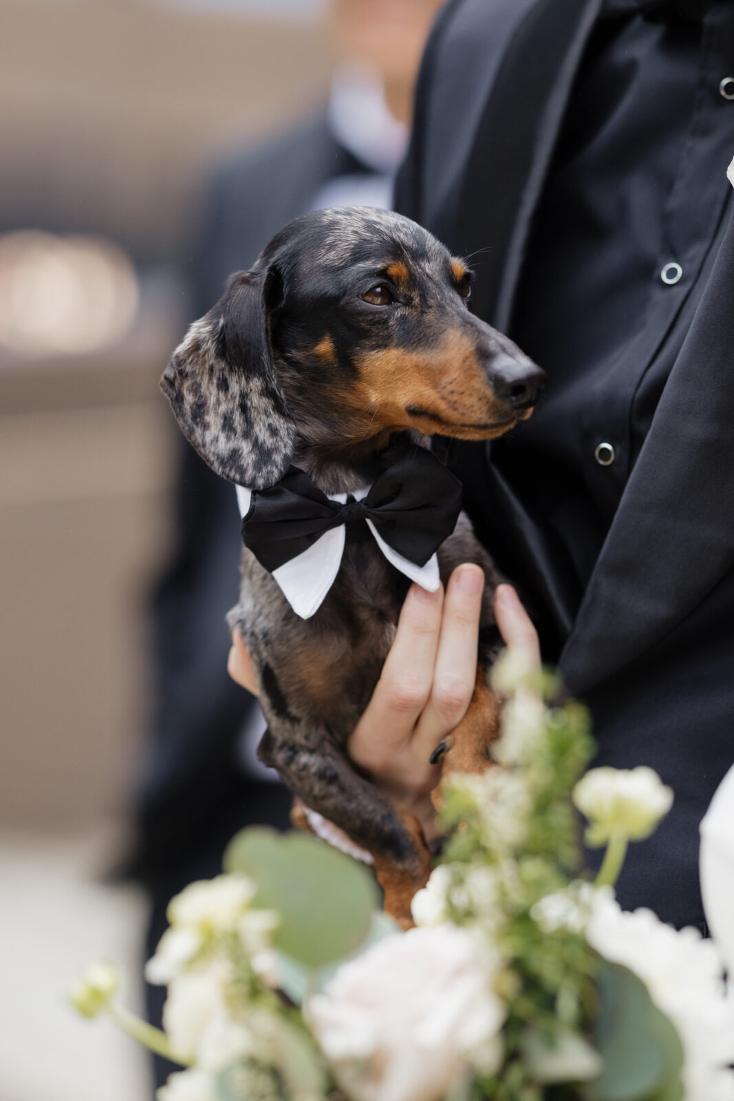 M&A's Waterfront Wedding at The Cable Wharf