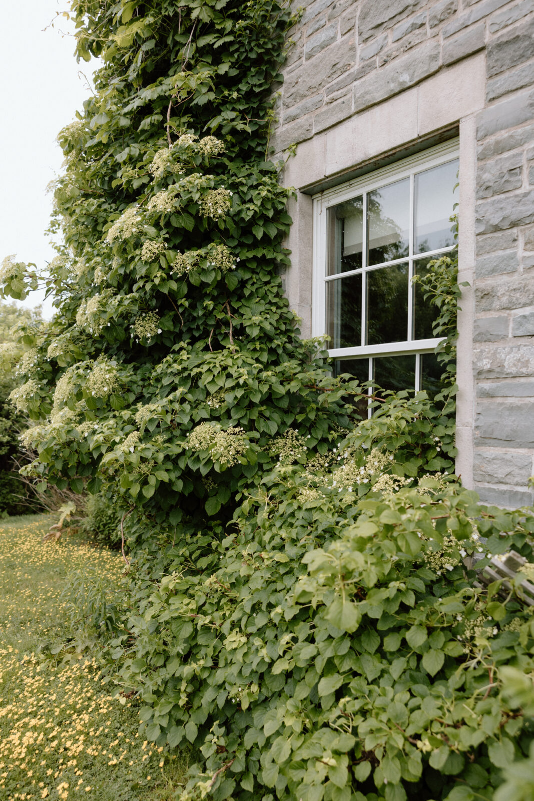 Canadian Wedding Venues that feel like a European Getaway; Wedding photographer based in Nova Scotia; Janelle Connor Photography