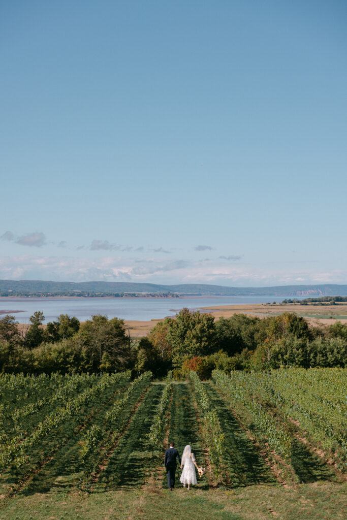 Wedding at Lightfoot & Wolfville winery in Wolfville Nova Scotia