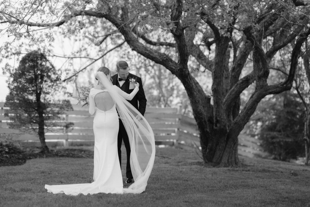 Hidden Gem Wedding Venues in Nova Scotia 2 highlights a curated selection of unique venues that offer a more intentional wedding experience.