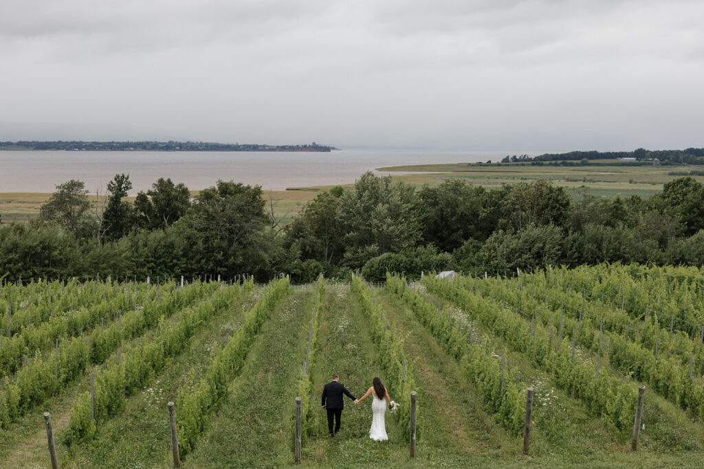 Bride and groom portraits in the vineyards at Lightfoot & Wolfville